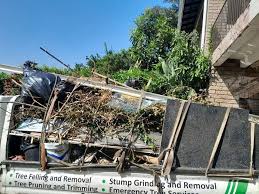 Best Moving and Downsizing Cleanouts  in South Plainfield, NJ